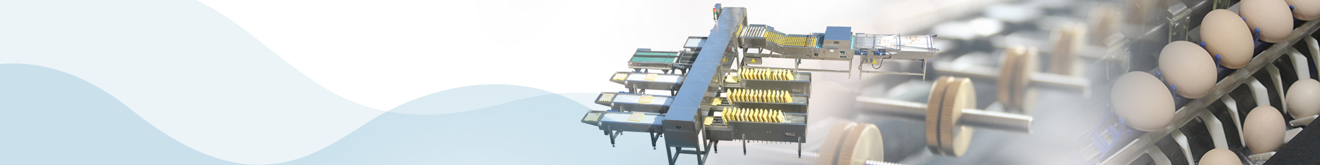 Shenzhen ZENYER Egg Machinery Co., Ltd.