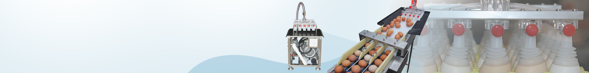 Shenzhen ZENYER Egg Machinery Co., Ltd.