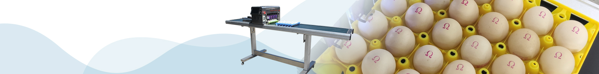 Shenzhen ZENYER Egg Machinery Co., Ltd.