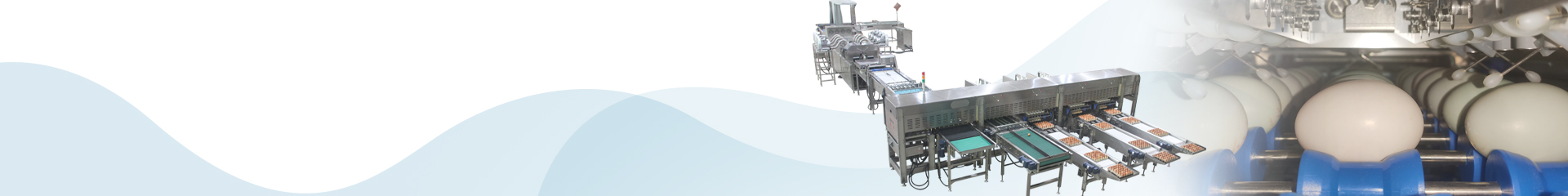 Shenzhen ZENYER Egg Machinery Co., Ltd.