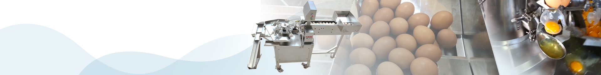 Shenzhen ZENYER Egg Machinery Co., Ltd.