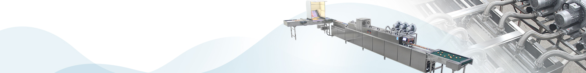 Shenzhen ZENYER Egg Machinery Co., Ltd.