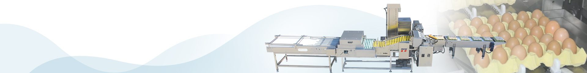 Shenzhen ZENYER Egg Machinery Co., Ltd.