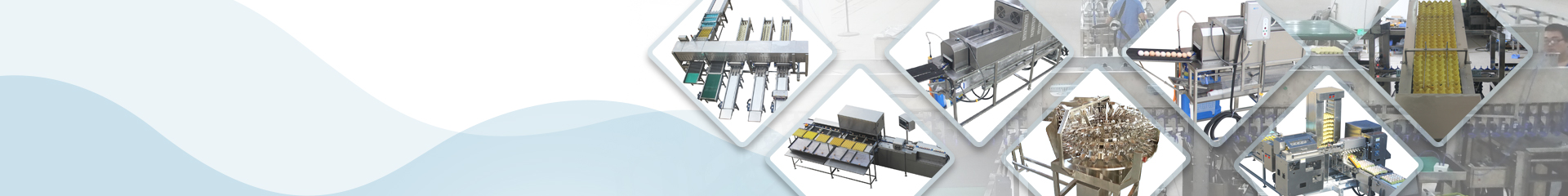 Shenzhen ZENYER Egg Machinery Co., Ltd.