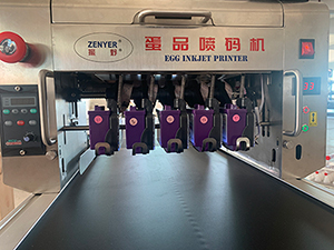 406HS Egg Printer